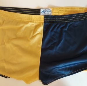 Vintage Dolphin Nylon Shorts M/L